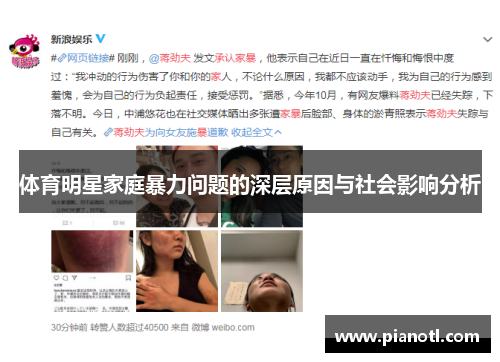 体育明星家庭暴力问题的深层原因与社会影响分析