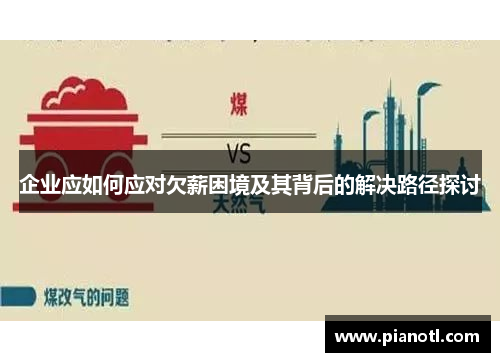 企业应如何应对欠薪困境及其背后的解决路径探讨