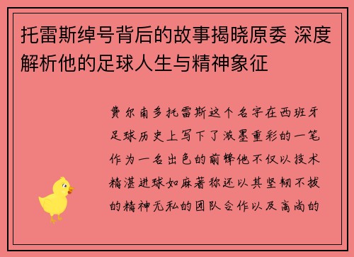 托雷斯绰号背后的故事揭晓原委 深度解析他的足球人生与精神象征